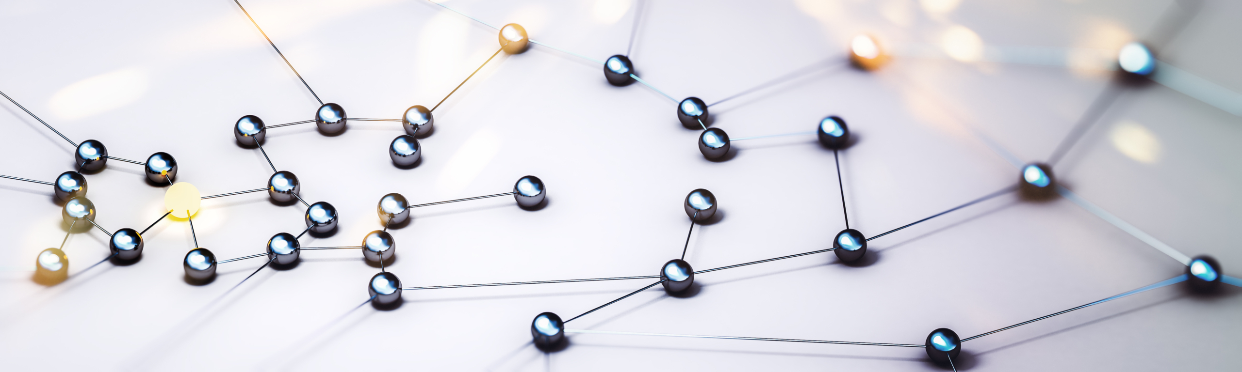 Schwerpunkte - Titelbild